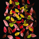 FLYCHOC ATTREZZO IN ACCIAIO INOX PER DECORAZIONI IN CIOCCOLATO - FOGLIA L 80 X 40 MM - CH6 - PAVONI ITALIA