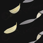 FLYCHOC ATTREZZO IN ACCIAIO INOX PER DECORAZIONI IN CIOCCOLATO - PIUMA S 60 X 20 MM - CH7 - PAVONI ITALIA