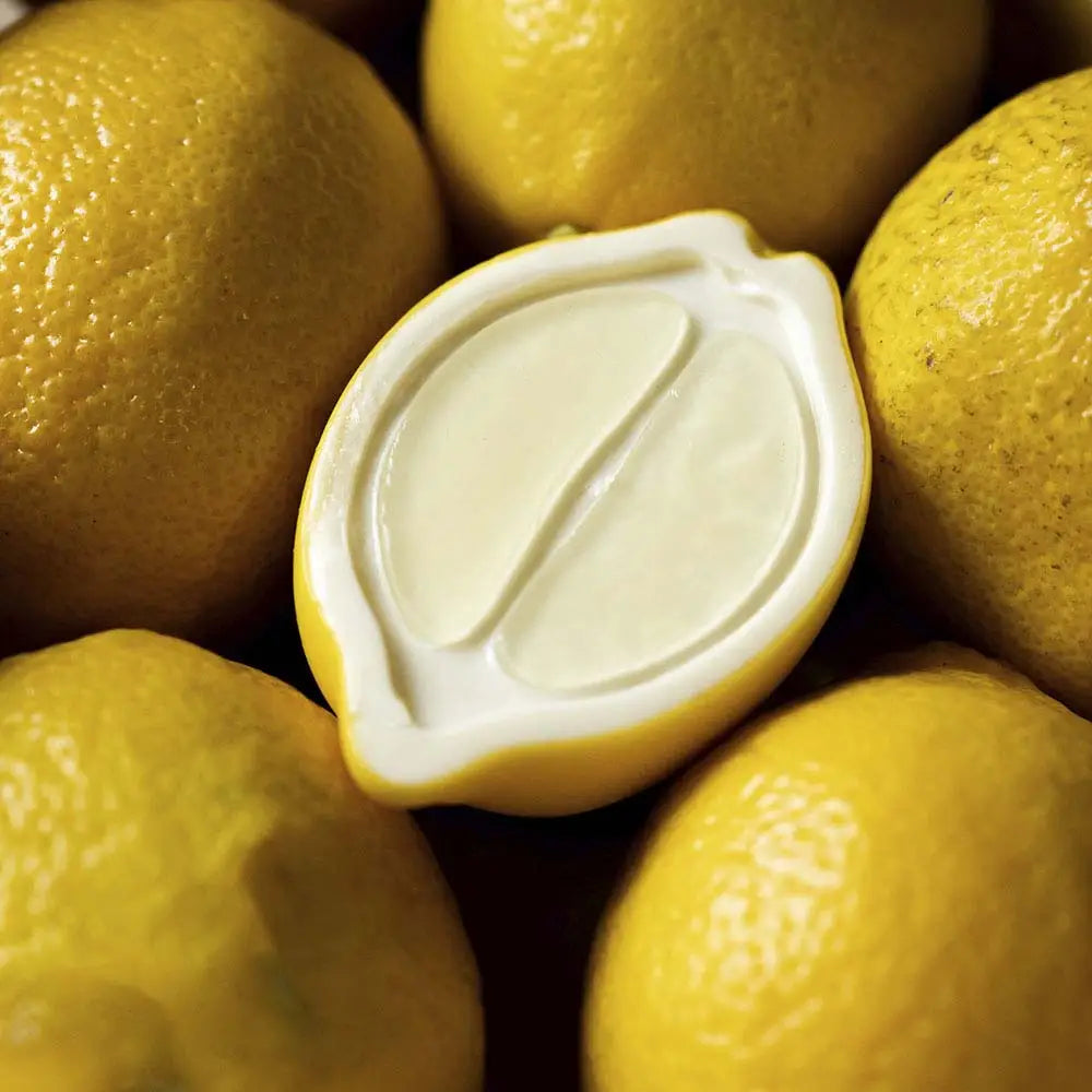 FOO’D STAMPO IN SILICONE MM 300X175 HALF LEMON DAVIDE OLDANI - 8 IMPRONTE MM 77X52X22 H - VOL. ~ 50 ML - GG070S