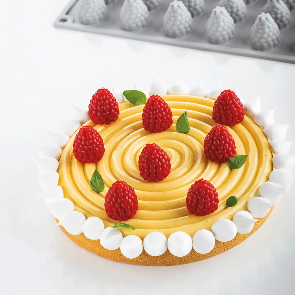 GOURMAND BERRY STAMPO IN SILICONE 300X175 MM - 35 IMPRONTE MM Ø24XH 27 - VOL. ~ 7 ML - GG017S - PAVONI ITALIA - STAMPI