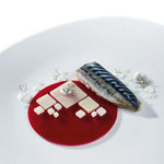 GOURMAND STAMPO IN SILICONE 400 X 300 MM - 6 IMPRONTE DISCO GRANDE Ø 110 X H 3,5 MM VOL. - GG003S - PAVONI ITALIA