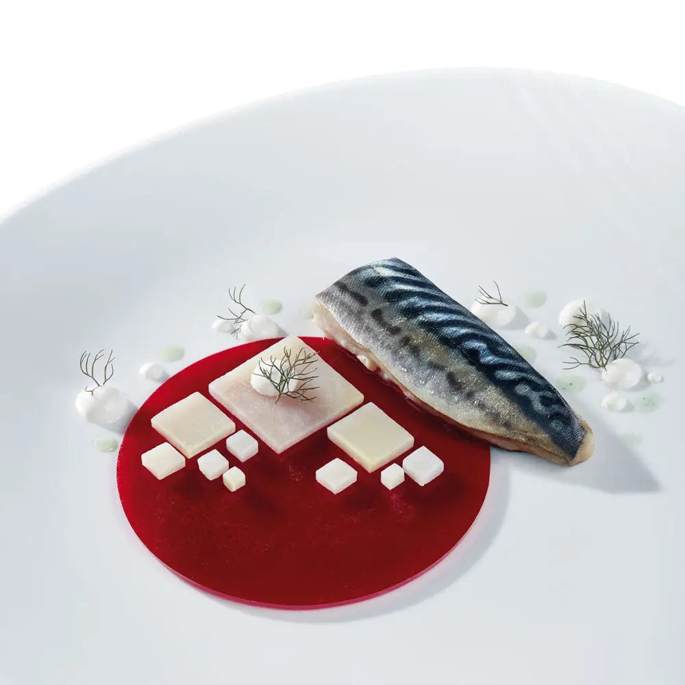 GOURMAND STAMPO IN SILICONE 400 X 300 MM - 6 IMPRONTE DISCO GRANDE Ø 110 X H 3,5 MM VOL. - GG003S - PAVONI ITALIA