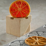 GOURMAND STAMPO IN SILICONE MM 300X200 CITRUS PAOLO GRIFFA - 12 IMPRONTE Ø MM 60X2 H - GG078S - PAVONI ITALIA - STAMPI
