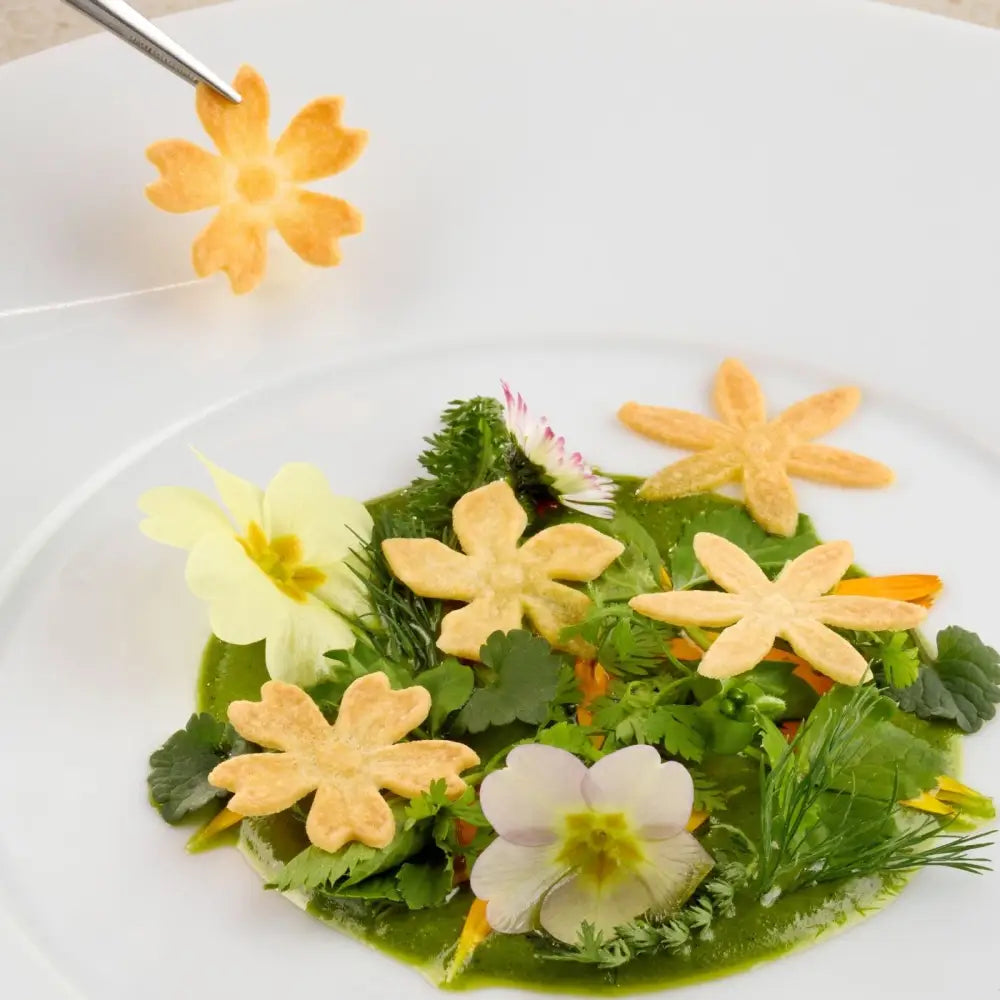 GOURMAND STAMPO IN SILICONE MM 300X200 FLORALIA PAOLO GRIFFA - 8 + 8 + 8 IMPRONTE Ø MM 35X - GG076S - PAVONI ITALIA
