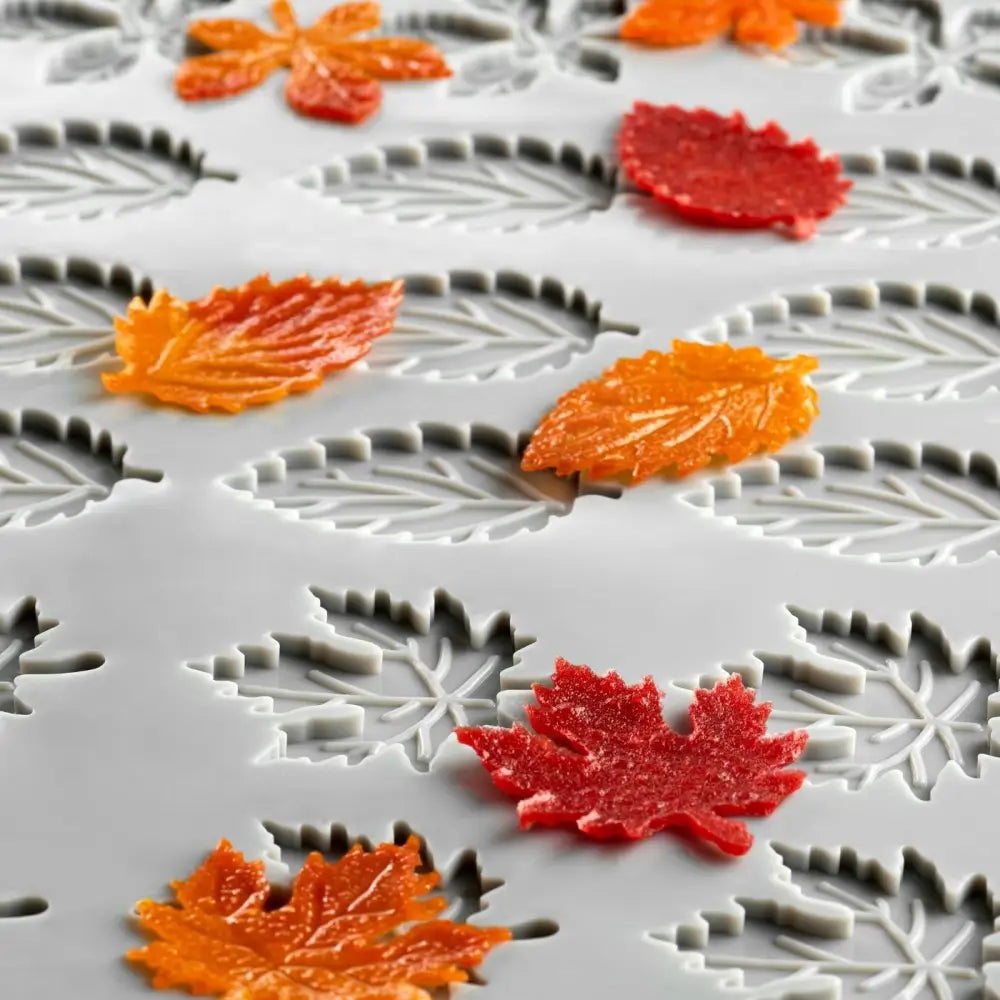 GOURMAND STAMPO IN SILICONE MM 300X200 FOLIAGE PAOLO GRIFFA - 15 + 15 + 15 IMPRONTE Ø MM - GG077S - PAVONI ITALIA