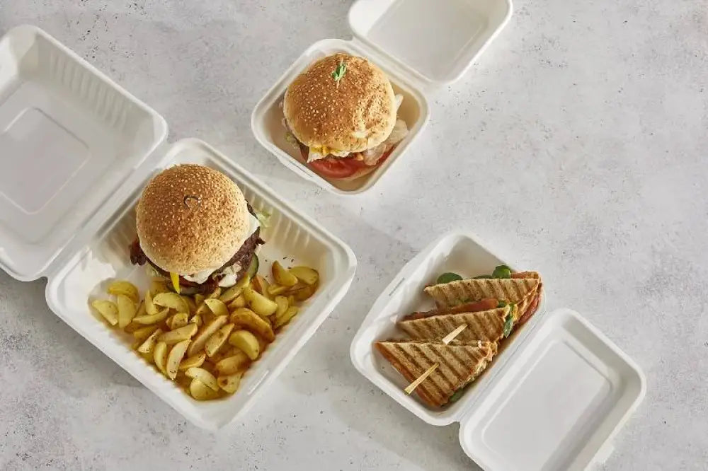 HAMBURGER BOX POLPA DI CELLULOSA BIANCO - 15X15X8,5 CM - 800 ML - Q2022 - LEONE - MONOUSO BIO