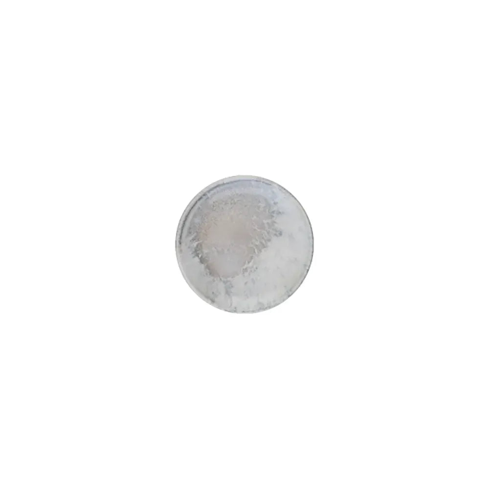 SURF LONA PIATTO FONDO 15 CM 240 CC - 20265-111115 - ID FINE