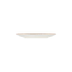 SCORIA LONA PIATTO PIANO 30 CM - 20321-111030 - ID FINE