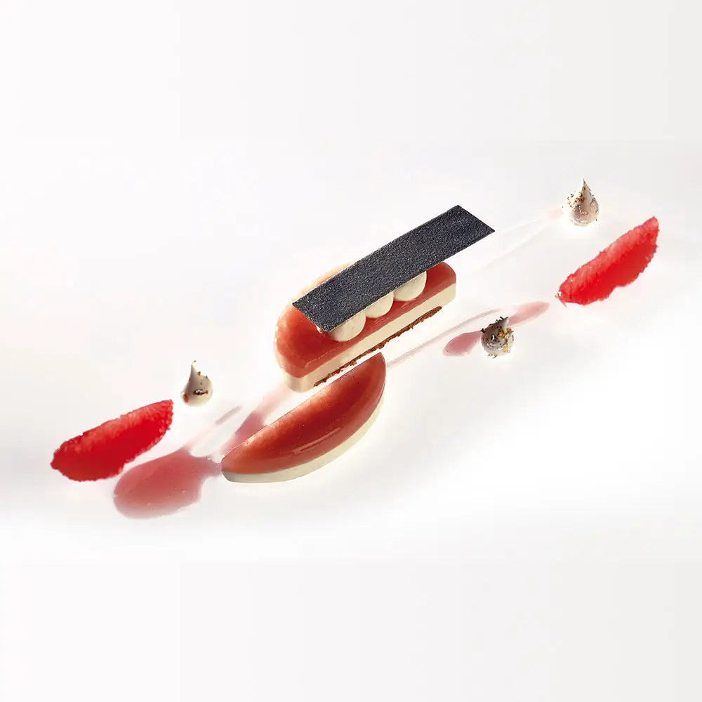 KIT PROGETTO MONO: STAMPO IN SILICONE PAVOFLEX 400 X 300 MM - 12 IMPRONTE RETTANGOLARI 92 X 50 X H 15 MM VOL. 67 ML