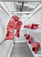 CELLA REFRIGERATA - KLIMA BOX - ZERNIKE