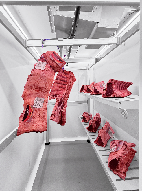 CELLA REFRIGERATA - KLIMA BOX - ZERNIKE