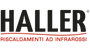 HALLER Logo