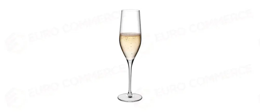 N.VINIFERA CAL.CHAMPAGNE 26 GB6X2 - 122823 - MORINI