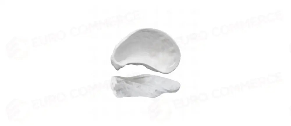 OYSTER COPPETTA CM12,5X7,8 H4 - 144089 - MORINI