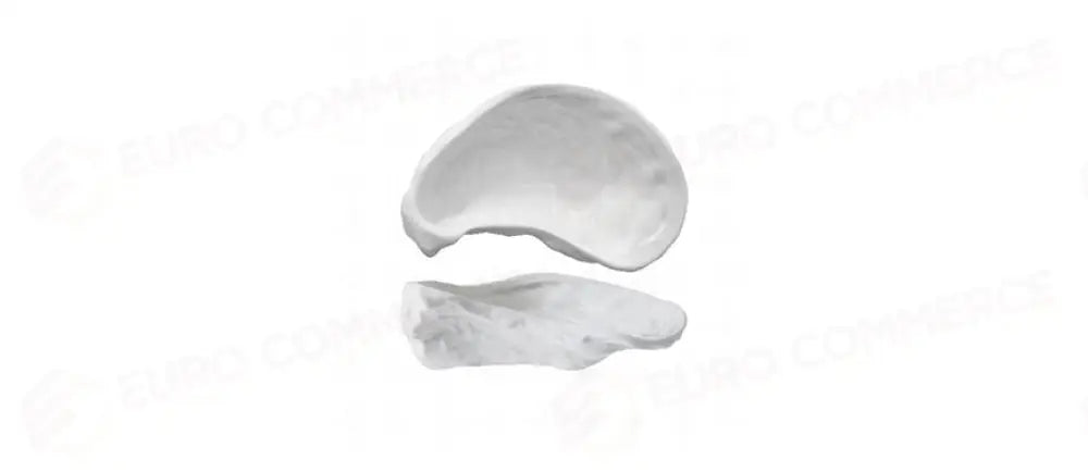 OYSTER COPPETTA CM15X9,6 H5 - 144088 - MORINI