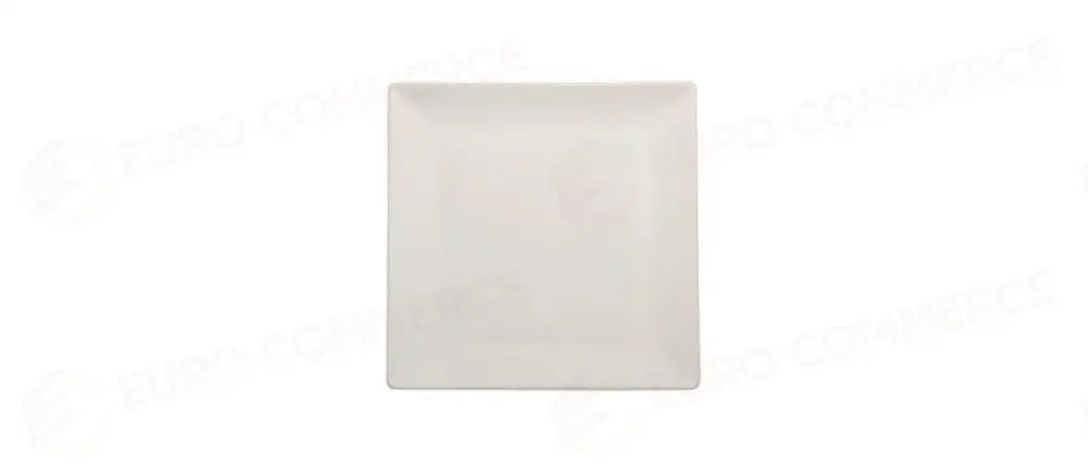 P.BIANCO BOSTON PIATTO PIANO 24X24 - 124450 - MORINI
