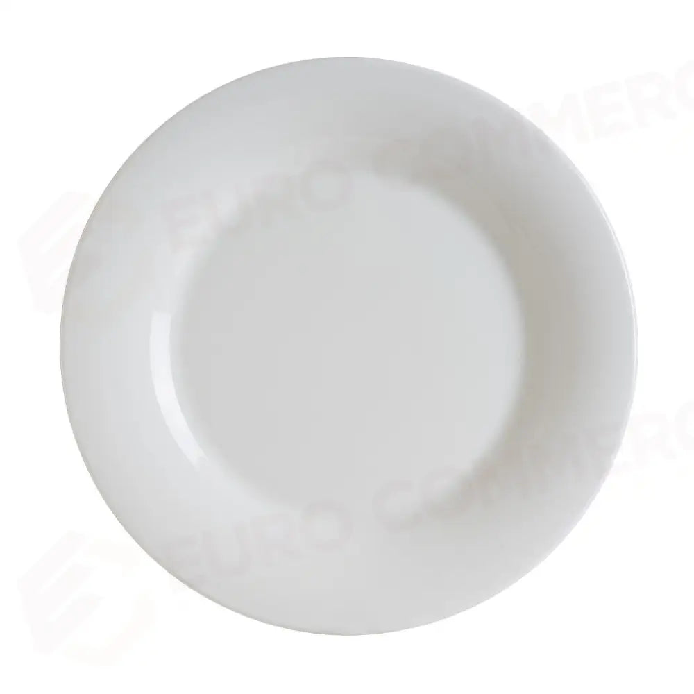 PIATTO PIANO CM.30 WHITE ALBUS - B.ABS.30DZ - BONNA - PIATTI GOURMET
