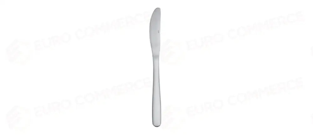 ROBERTA CONF.12 PZ COLTELLO TAVOLA - 117916 - MORINI