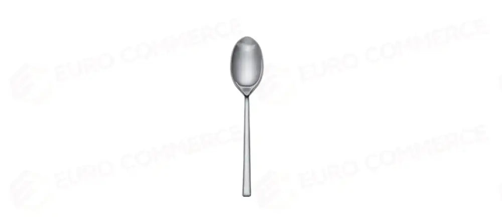 SALVINELLI 250 CUCCHIAIO FRUTTA 18/10 - 95074 - MORINI