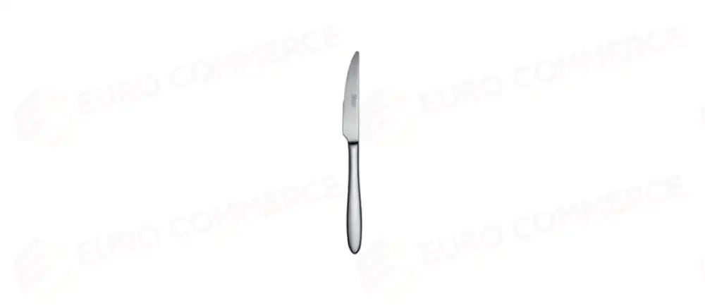 SALVINELLI FAST ICE COLTELLO FRUTTA FOR. - 124870 - MORINI