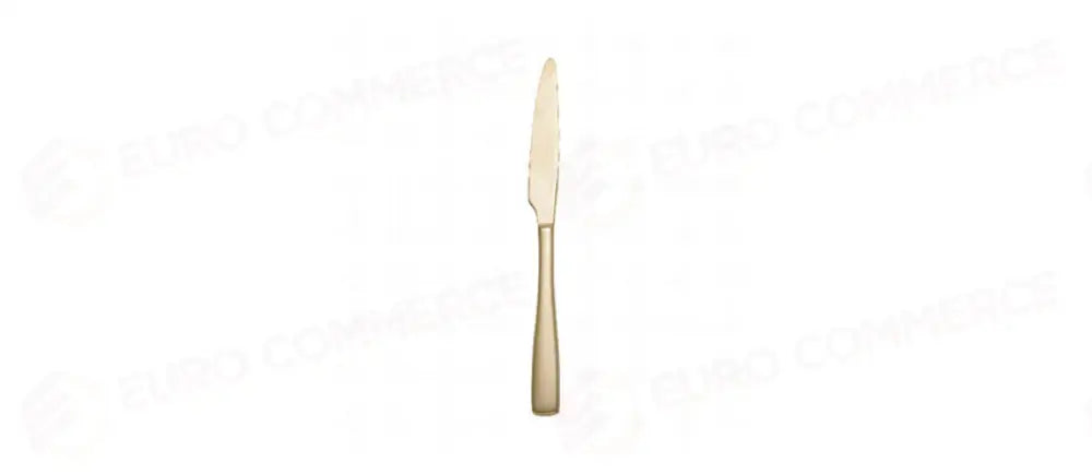 SALVINELLI FLOW ICE CHAMP.COLTELLO FRUTTA F. - 142996 - MORINI