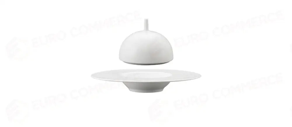 SATURNO B.CLOCHE 25 X PIATTO GOURMET - 103548 - MORINI