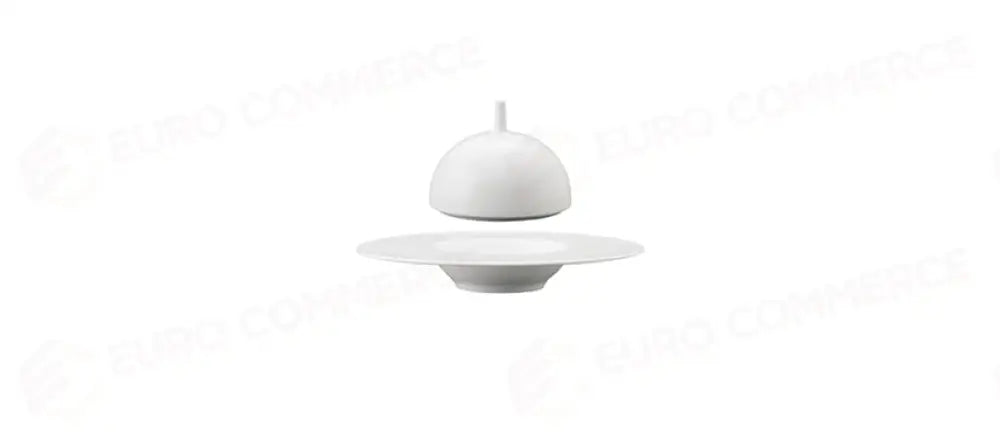 SATURNO B.PIATTO F.DO GOURMET 25 4514291 - 103547 - MORINI