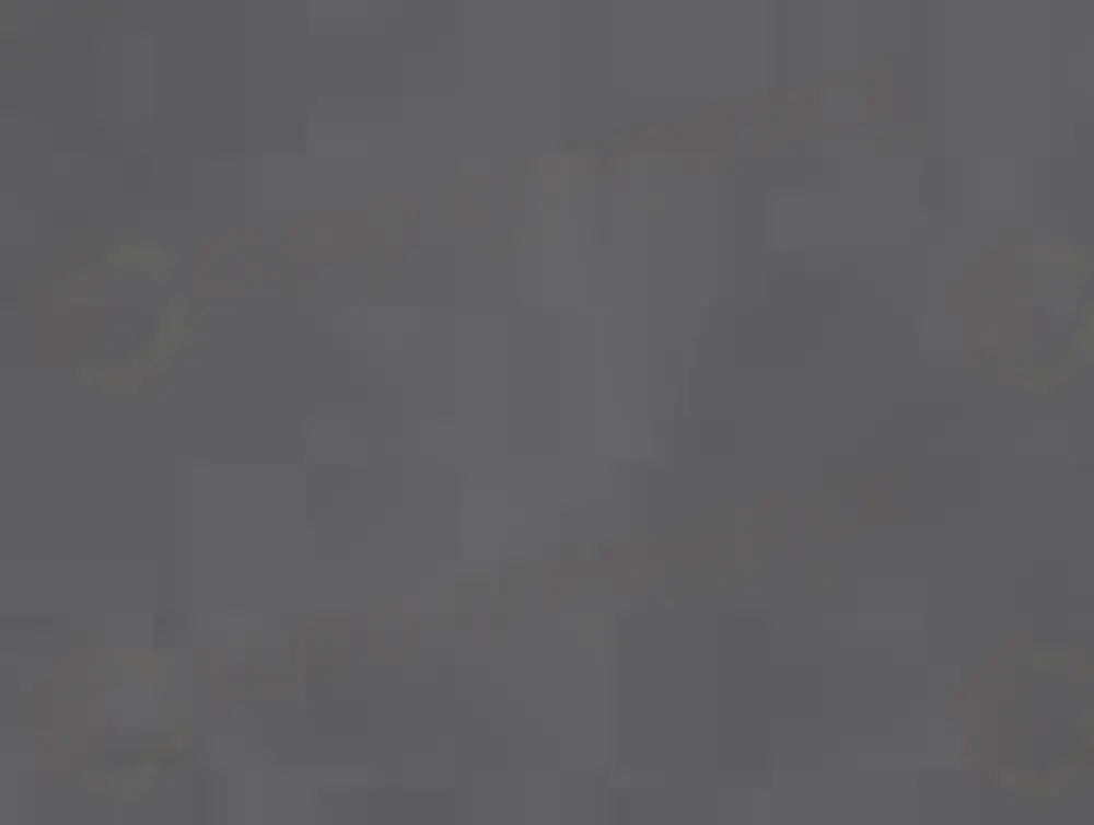 Alt immagine