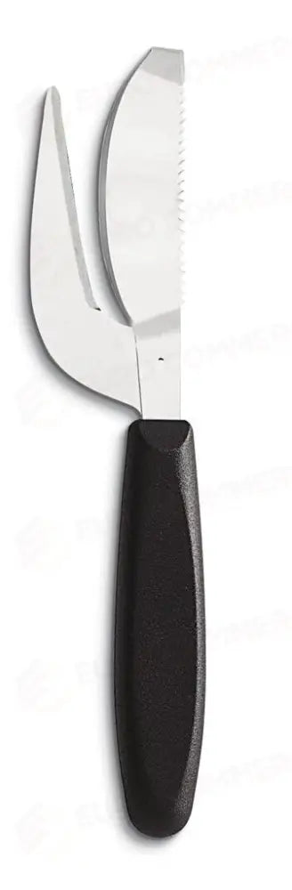 SQUAMAPESCE 71650 AUSONIA - 0210061 - MEDRI