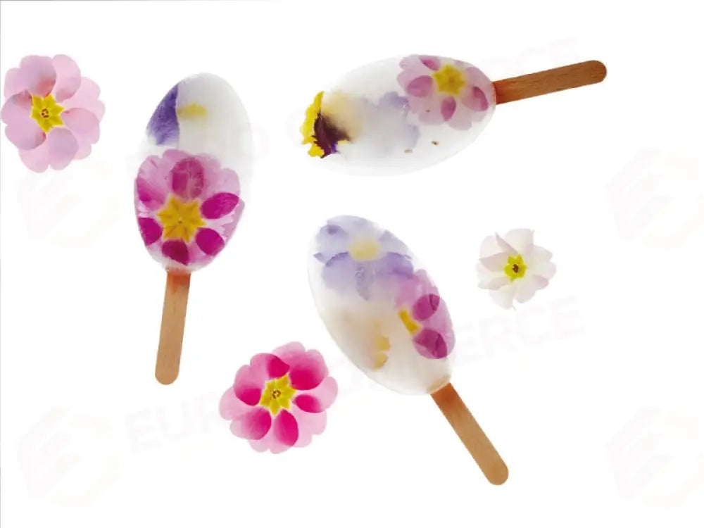 STAMPO IN SILICONE 200 X 120 MM - 4 IMPRONTE WAIKIKI POCKET 40 X 70 MM + 50 STECCHI - PL08 - PAVONI ITALIA - STAMPI