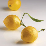 STAMPO IN SILICONE CITRON 300 X 175 MM CÉDRIC GROLET - 8 IMPRONTE Ø 53 X H 70 MM VOL. 85 ML - AF006S - PAVONI ITALIA