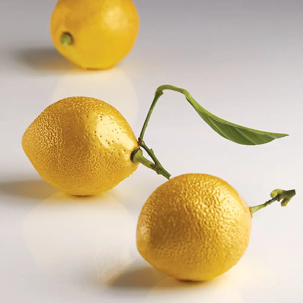 STAMPO IN SILICONE CITRON 300 X 175 MM CÉDRIC GROLET - 8 IMPRONTE Ø 53 X H 70 MM VOL. 85 ML - AF006S - PAVONI ITALIA