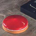STAMPO PAVOFLEX IN SILICONE FRISBEE 190 X 190 MM - 1 IMPRONTA Ø MM 160X37 H VOL. ~ 414 ML - TOP18S - PAVONI ITALIA