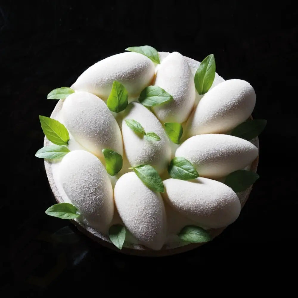 STAMPO PAVOFLEX IN SILICONE QUENELLE 600 X 400 MM - 100 IMPRONTE 42 X 22 X H 17 MM - VOL.9 ML - PX074 - PAVONI ITALIA