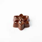 STAMPO PER PRALINE BOUQUET MM 275X175 24 IMPRONTE Ø MM 38X13 H - VOL. ~10 G - PC5073FR - PAVONI ITALIA - STAMPI