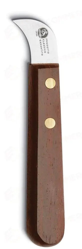 TAGLIACASTAGNE 71260 AUSONIA - 0210020 - MEDRI