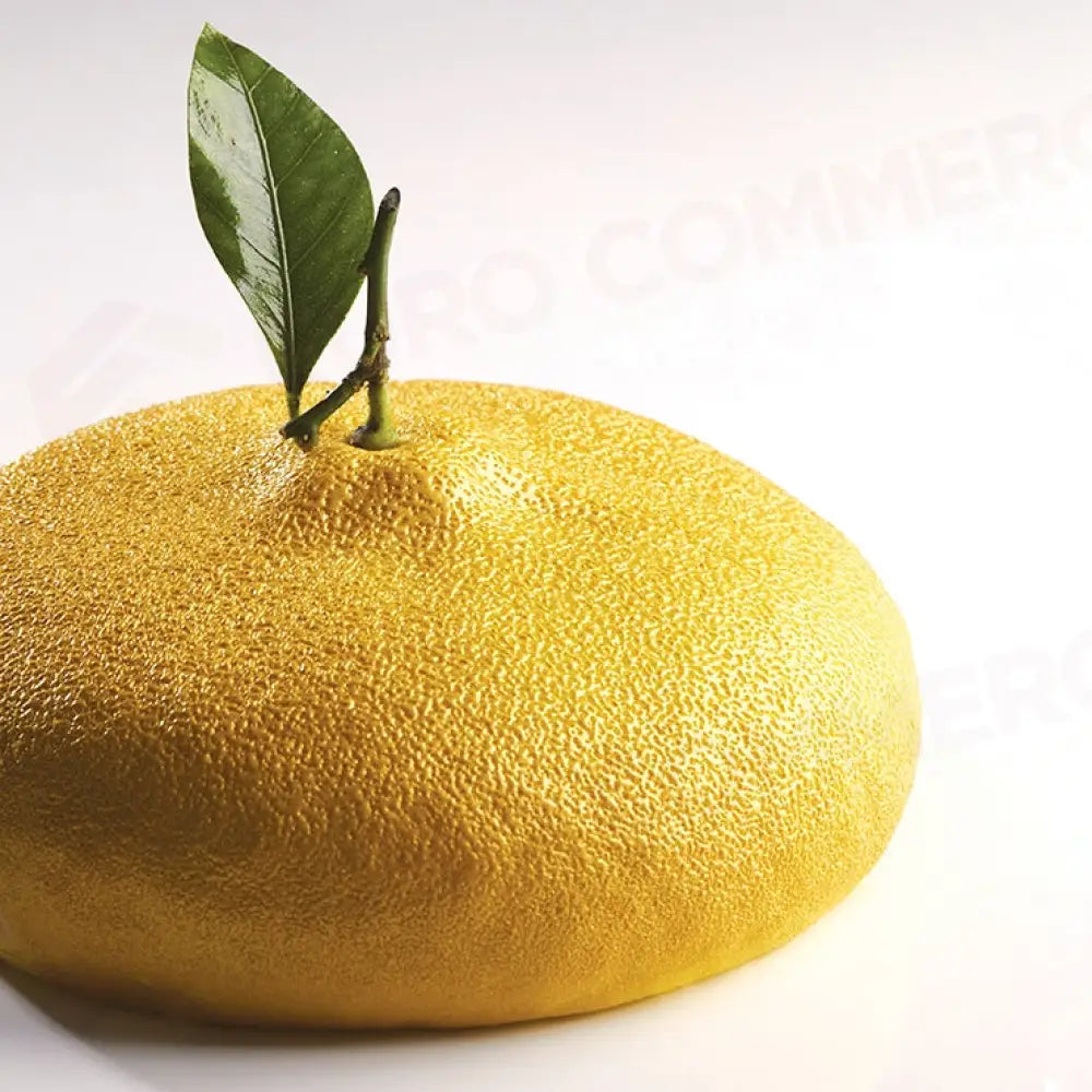 TORTIERA PAVOCAKE CITRON CÉDRIC GROLET Ø 180 X H 70 MM - VOL. 1215 ML - KE057S - PAVONI ITALIA
