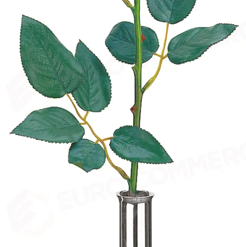 VASO - ARTICOLI TAVOLA - PADERNO