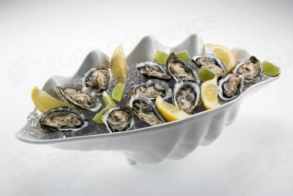 VASSOIO CONCHIGLIA BIANCO - MELAMINA 55X28X17H - T8151 - LEONE - MELAMINA BIANCA