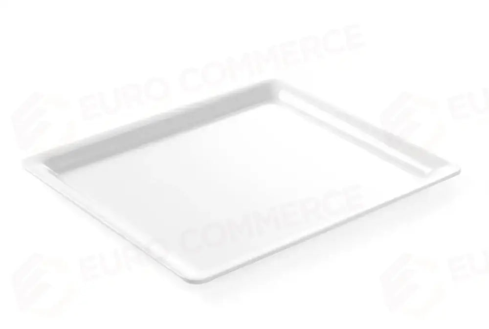 VASSOIO GASTRONORM CON BORDO SOTTILE GN 2/3 354X325X(H)20MM - HENDI