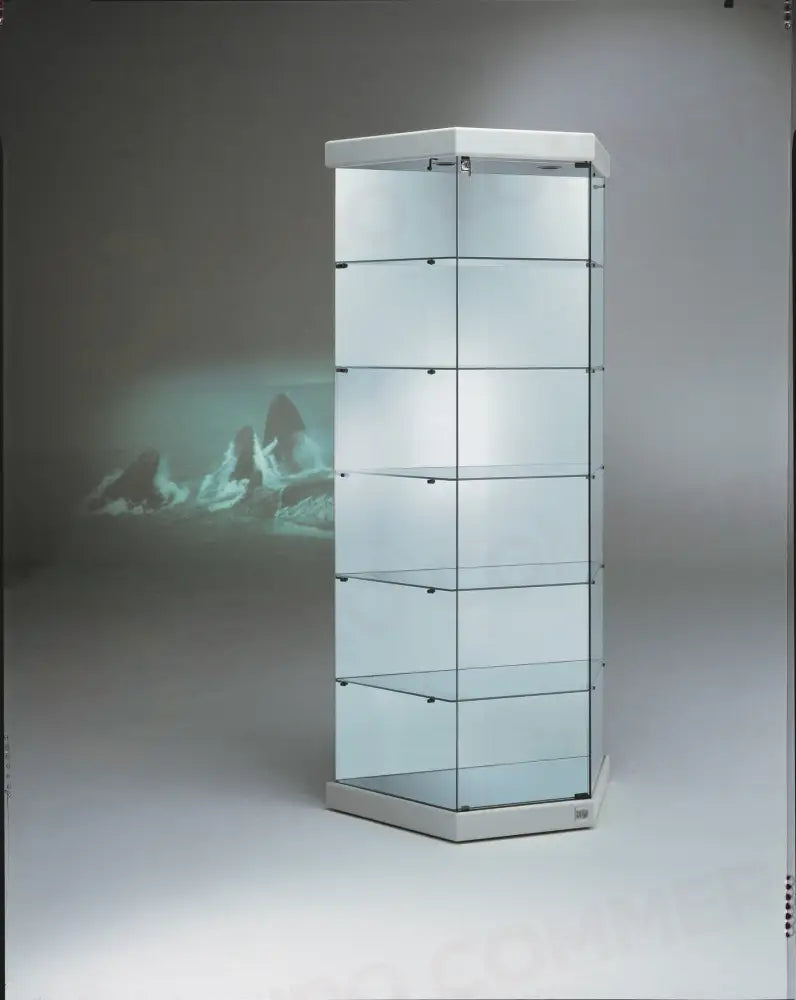 VETRINA BLACK&WHITE 93X43X200 CM - 251/M - ITALVETRINE