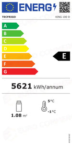 Etichetta Energetica KING 100 D TECFRIGO