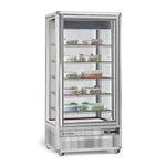 VETRINA VERTICALE - SNELLE 651 BTV - TECFRIGO
