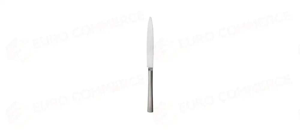 VINTAGE COLTELLO FRUTTA M/SATINATO INOX 18/0 - 200037 - MORINI